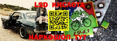 ПСИЛОЦИБИНОВЫЕ ГРИБЫ Тара