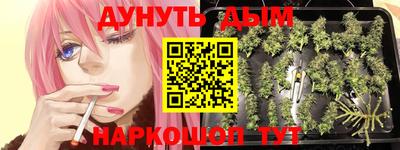 мдпв Тверь