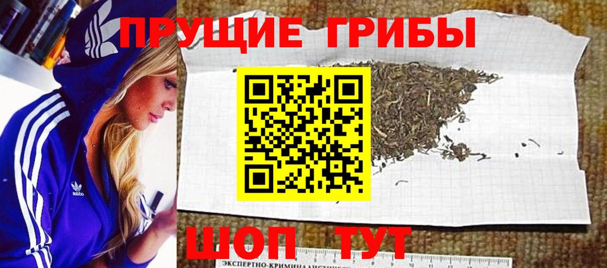 Галлюциногенные грибы прущие грибы Ирбит